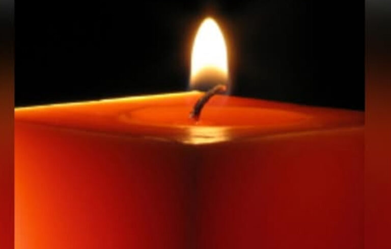Hannah Feltham Obituary: Napier, New Zealand Remembers a Cherished Community Member